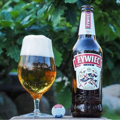 Zywiec Original Pilsner