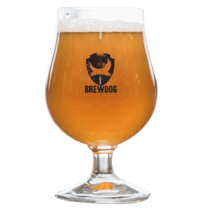 BrewDog Snifter Glass Single Glassware BrewDog