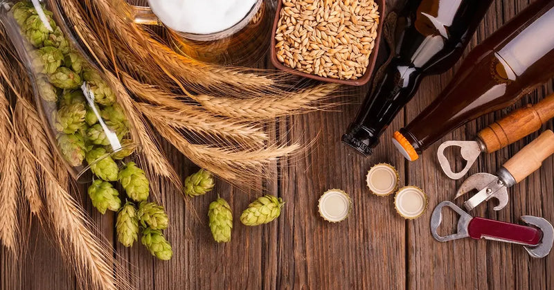 What is Beer Made of? The Main Ingredients Explained