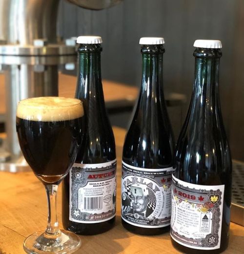 Dollar Bill Autumn Parlay 2019 Dark Sour⠀