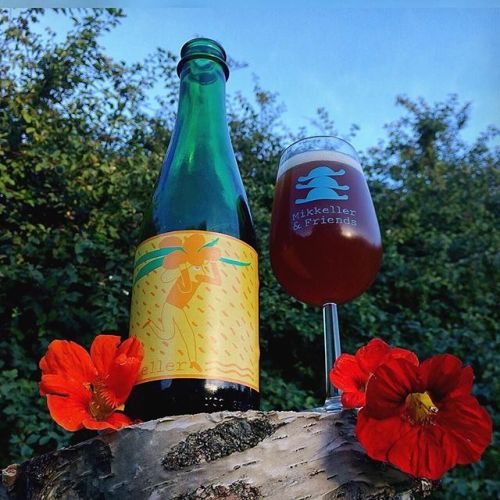 Mikkeller SpontanSeabuckthorn⠀