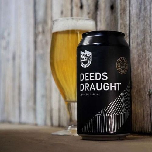 Quiet Deeds Deeds Draught⠀
