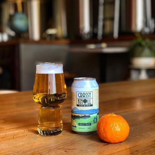 Grassy Knoll Valley Lager⠀