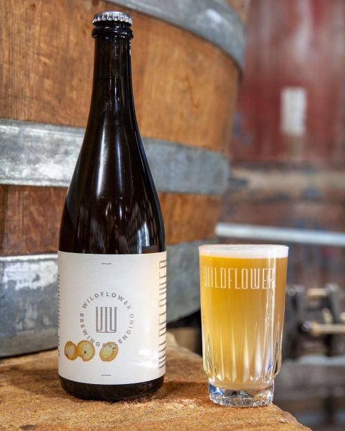 Wildflower St Henry 2022 Apricot Australian Wild Ale 750ml Bottle