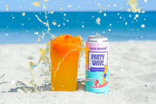 Gage Roads Party Wave Stonefruit Sour Ale 500ml Can