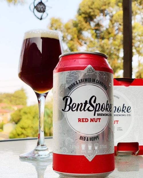 Bentspoke Red Nut IPA⠀