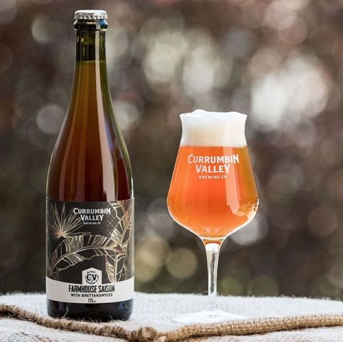 Currumbin Valley 2019 Farmhouse Saison with Brettanomyces⠀