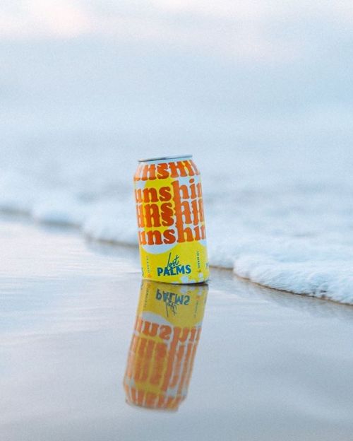 Lost Palms 300 Days of Sunshine⠀