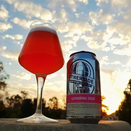 Otherside Catharina Sour Ale⠀