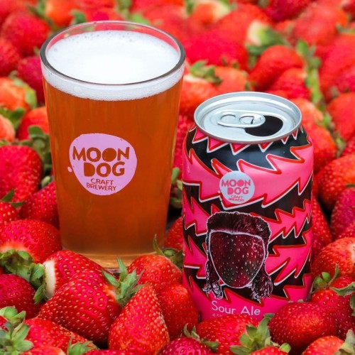 Moon Dog Jean-Strawb Van Damme Sour Ale