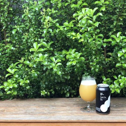 Molly Rose Tretti Tre Kviek IPA⠀