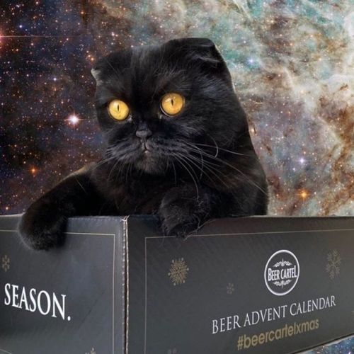 Heads up - we’ve under 15% of Advent Calendars left. If you haven’t got yours yet you better go quick!