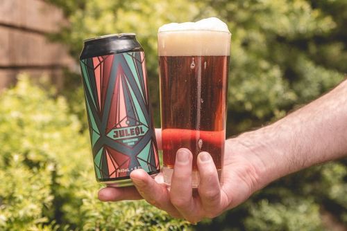 Hawkers Juleol Danish Christmas Beer Blueberry and Juniper Dark Lager 440ml Can