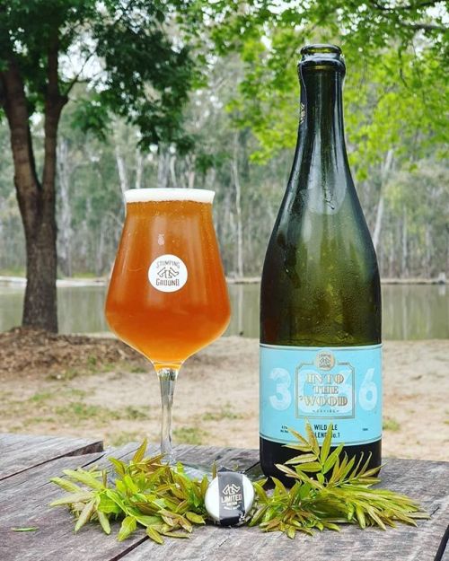 Stomping Ground Into The Wood Wild Ale Blend No.1⠀