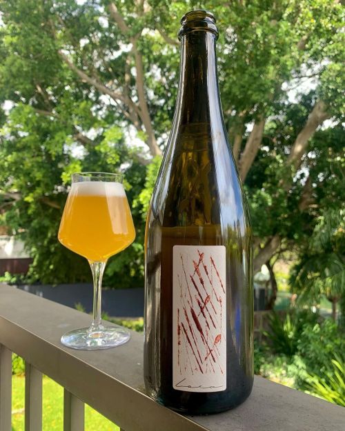 Lora In Liminal Forms Australian Wild Ale 750ml Bottle