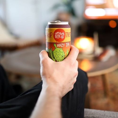 Offshoot Hop Trot Hazy IPA⠀