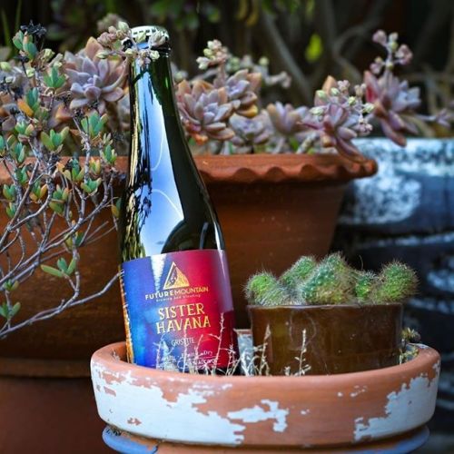 Future Mountain Sister Havana Grisette⠀