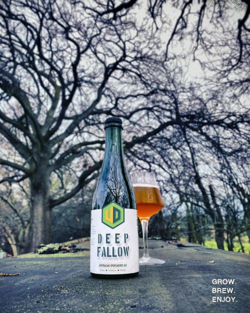 Van Dieman Deep Fallow Australian Spontaneous Ale 375ml Bottle