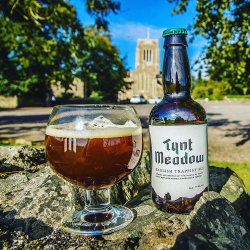 Tynt Meadow English Trappist Ale 330ml Bottle