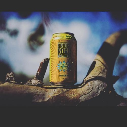 Bridge Road Little Bling Session 355ml Can⠀