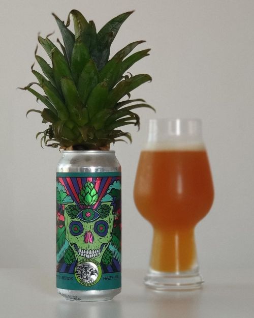 Amundsen Cryptic Minds NEIPA 440ml Can