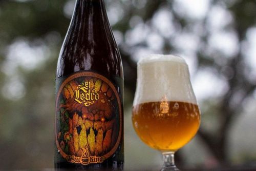Jester King El Cedro⠀