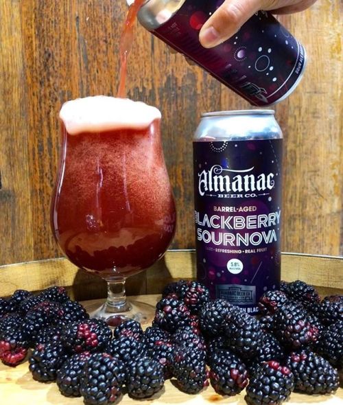 Almanac Beer Blackberry Sournova Sour Ale⠀
