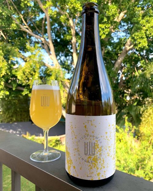 Wildflower Wattle Drops Australian Wild Ale 750ml Bottle