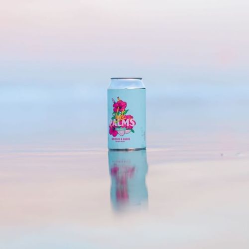 Lost Palms Hibiscus & Guava Berliner Weisse⠀