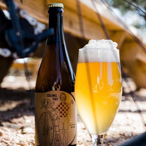 Jester King Colonel Toby Hoppy Farmhouse⠀