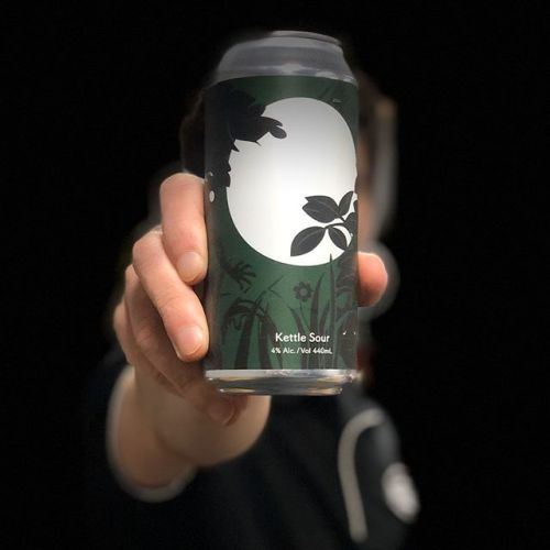 Tallboy and Moose Zing Tang Kettle Sour⠀