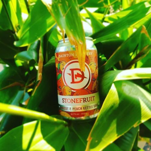Dainton Stonefruit Apricot & Peach Kettle Sour⠀
