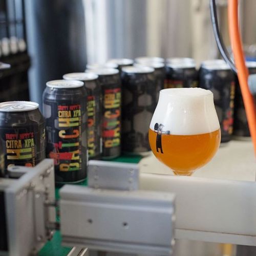 Batch Trippy Hippy Citra XPA 440ml Can⠀