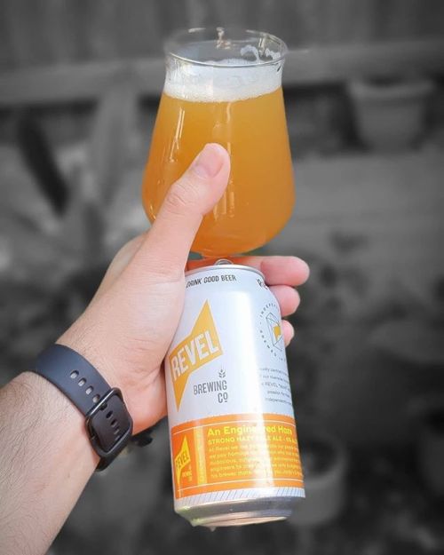 Revel An Engineered Haze Strong Hazy Pale Ale⠀