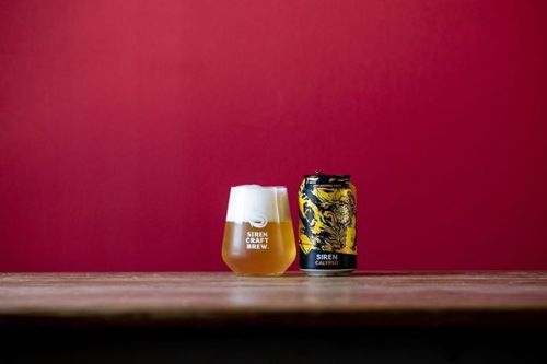 Siren Calypso Dry Hopped Sour Ale⠀