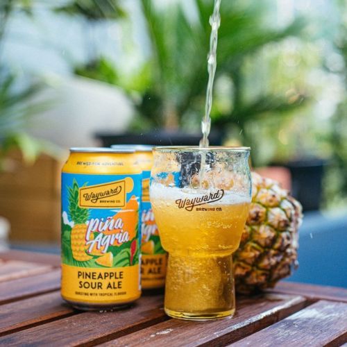 Wayward Pina Agria Pineapple Sour 375ml Can