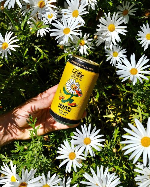 Grifter Daisy Hazy Pale Ale 375ml Can