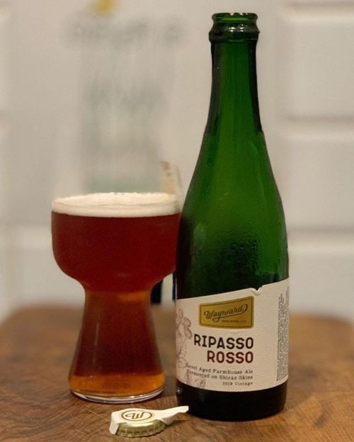 Wayward Ripasso Rosso 2019 (Discovery Series) ⠀