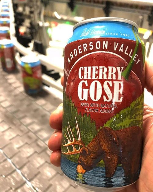 Anderson Valley Cherry Gose⠀