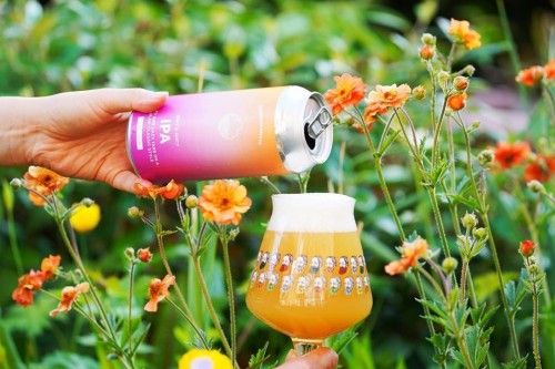 Cloudwater IPA Soft & Juicy