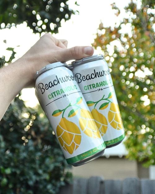 Beachwood Citraholic IPA⠀