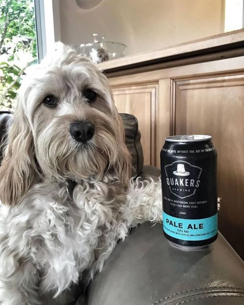 Quakers Hat Pale Ale⠀