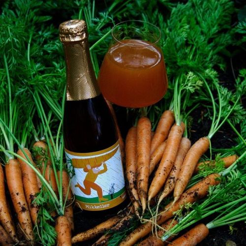 Mikkeller SpontanCarrot Sour Ale⠀