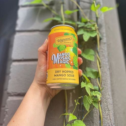 Wayward Mango Mosaic Magic Sour Ale