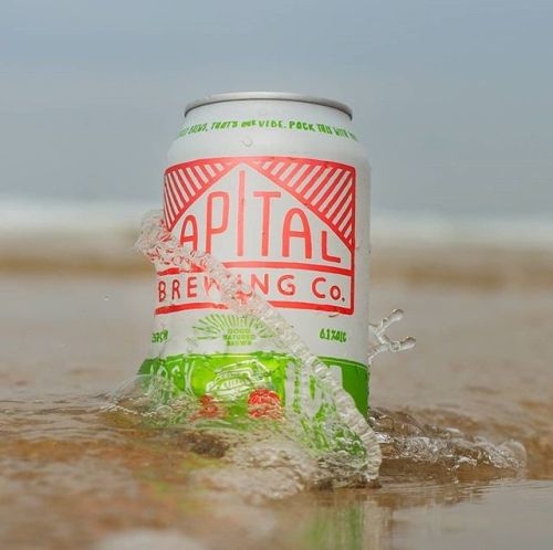 Capital Rock Hopper IPA⠀