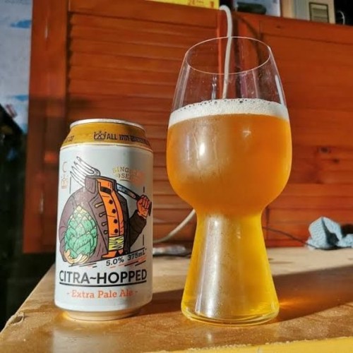 All Inn Citra Hopped Extra Pale Ale⠀ ⠀