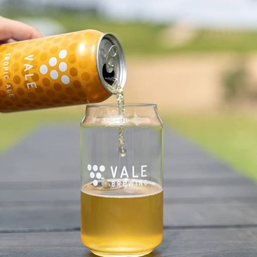 Vale Tropical Pale Ale⠀