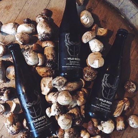 Wild Beer Breakfast of Champignons