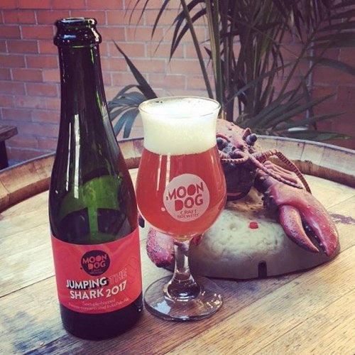 Moon Dog Jumping The Shark 2017