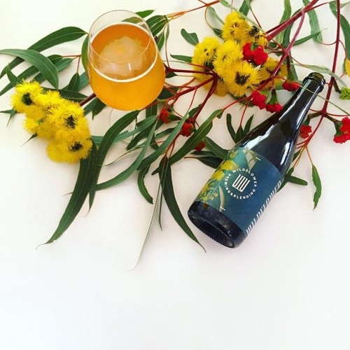 Amazing photo. Amazing beer. Wildflower Gold.